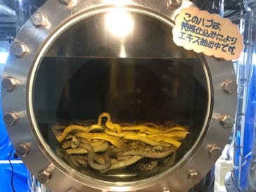 おきなわワールドに投稿された画像（2022/9/4）