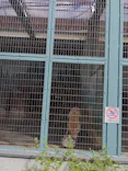 天王寺動物園に投稿された画像（2022/9/4）