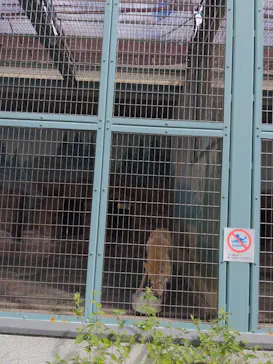 天王寺動物園に投稿された画像（2022/9/4）