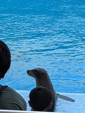 南知多ビーチランド＆南知多おもちゃ王国に投稿された画像（2022/9/4）