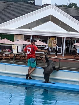 南知多ビーチランド＆南知多おもちゃ王国に投稿された画像（2022/9/4）