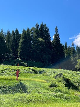 大地の芸術祭 実行委員会に投稿された画像（2022/9/4）