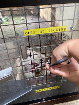 群馬サファリパークに投稿された画像（2022/9/4）