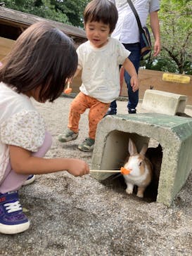 群馬サファリパークに投稿された画像（2022/9/4）