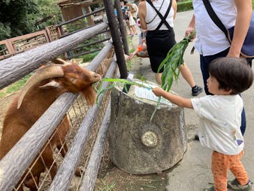 群馬サファリパークに投稿された画像（2022/9/4）