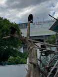 天王寺動物園に投稿された画像（2022/9/4）