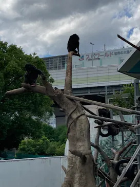 天王寺動物園に投稿された画像（2022/9/4）