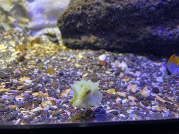 サンシャイン水族館に投稿された画像（2022/9/4）