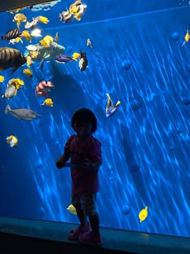 環境水族館アクアマリンふくしまに投稿された画像（2022/9/4）