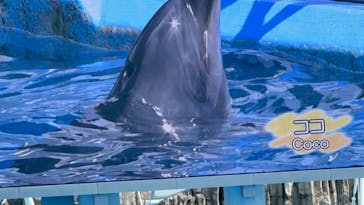 名古屋港水族館に投稿された画像（2022/9/4）