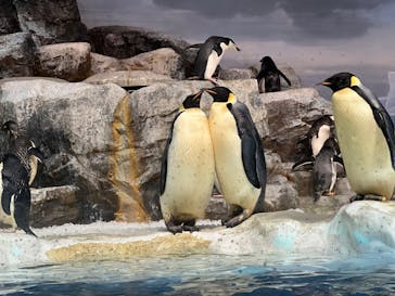 名古屋港水族館に投稿された画像（2022/9/4）