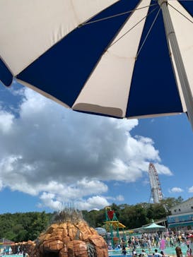 日本モンキーパークに投稿された画像（2022/9/4）