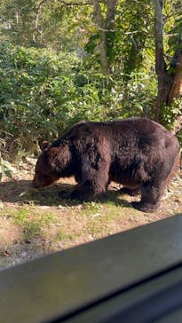 サホロリゾート　ベア･マウンテンに投稿された画像（2022/9/4）