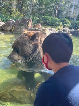 サホロリゾート　ベア･マウンテンに投稿された画像（2022/9/4）