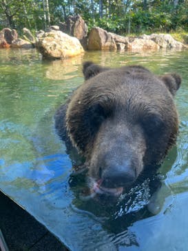 サホロリゾート　ベア･マウンテンに投稿された画像（2022/9/4）