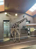 天王寺動物園に投稿された画像（2022/9/4）