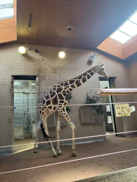 天王寺動物園に投稿された画像（2022/9/4）