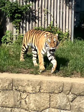 天王寺動物園に投稿された画像（2022/9/4）