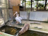 東武動物公園に投稿された画像（2022/9/4）