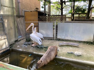 東武動物公園に投稿された画像（2022/9/4）