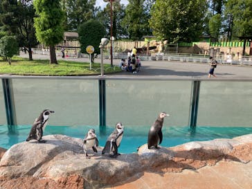 東武動物公園に投稿された画像（2022/9/4）