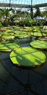 熱川バナナワニ園に投稿された画像（2022/9/4）