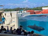 沖縄美ら海水族館に投稿された画像（2022/9/4）
