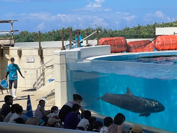 沖縄美ら海水族館に投稿された画像（2022/9/4）
