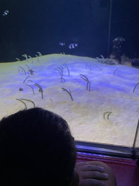 株式会社Gに投稿された画像（2022/9/4）