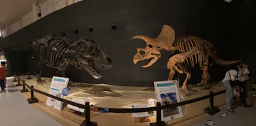 ひらかたパークに投稿された画像（2022/9/4）