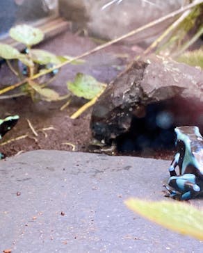 サンシャイン水族館に投稿された画像（2022/9/4）