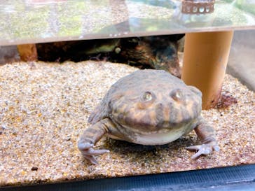 サンシャイン水族館に投稿された画像（2022/9/4）