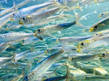 サンシャイン水族館に投稿された画像（2022/9/4）