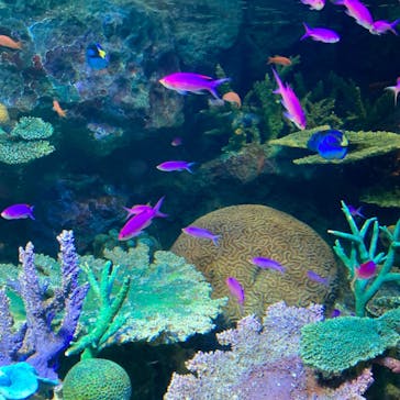 サンシャイン水族館に投稿された画像（2022/9/4）