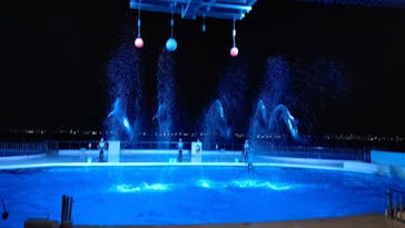 マリンワールド海の中道に投稿された画像（2022/9/4）