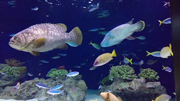 マリンワールド海の中道に投稿された画像（2022/9/4）