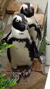 マリンワールド海の中道に投稿された画像（2022/9/4）