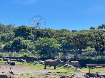 伊豆アニマルキングダムに投稿された画像（2022/9/4）