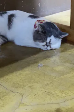 神戸どうぶつ王国に投稿された画像（2022/9/4）