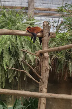 神戸どうぶつ王国に投稿された画像（2022/9/4）