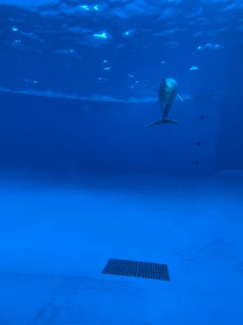 アクアワールド茨城県大洗水族館に投稿された画像（2022/9/4）
