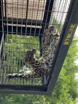 群馬サファリパークに投稿された画像（2022/9/5）