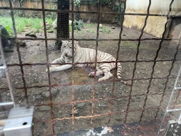 群馬サファリパークに投稿された画像（2022/9/5）