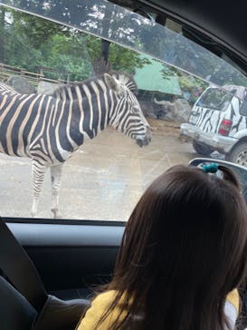 群馬サファリパークに投稿された画像（2022/9/5）