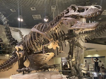 国立科学博物館に投稿された画像（2022/9/5）