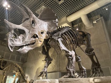 国立科学博物館に投稿された画像（2022/9/5）