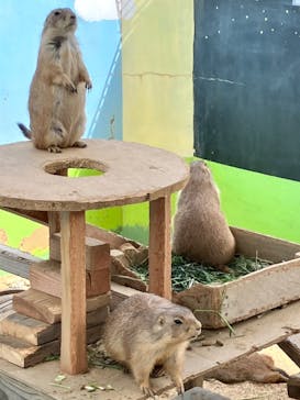 淡路ワールドパークONOKOROに投稿された画像（2022/9/5）