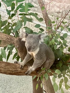 淡路ワールドパークONOKOROに投稿された画像（2022/9/5）