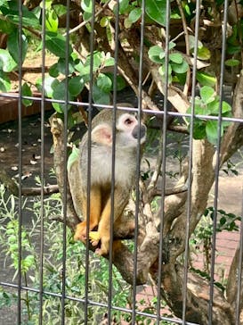 淡路ワールドパークONOKOROに投稿された画像（2022/9/5）