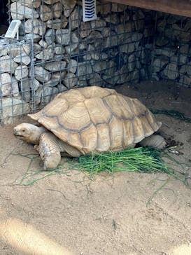 淡路ワールドパークONOKOROに投稿された画像（2022/9/5）